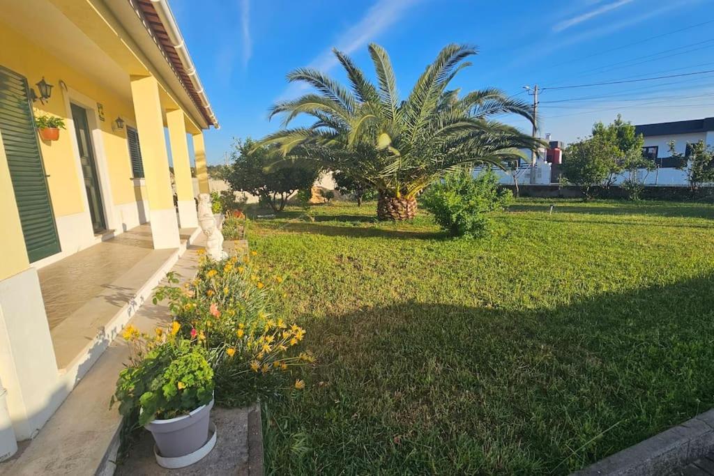 Quinta Marinhais Para Ferias No Ribatejo Exterior foto