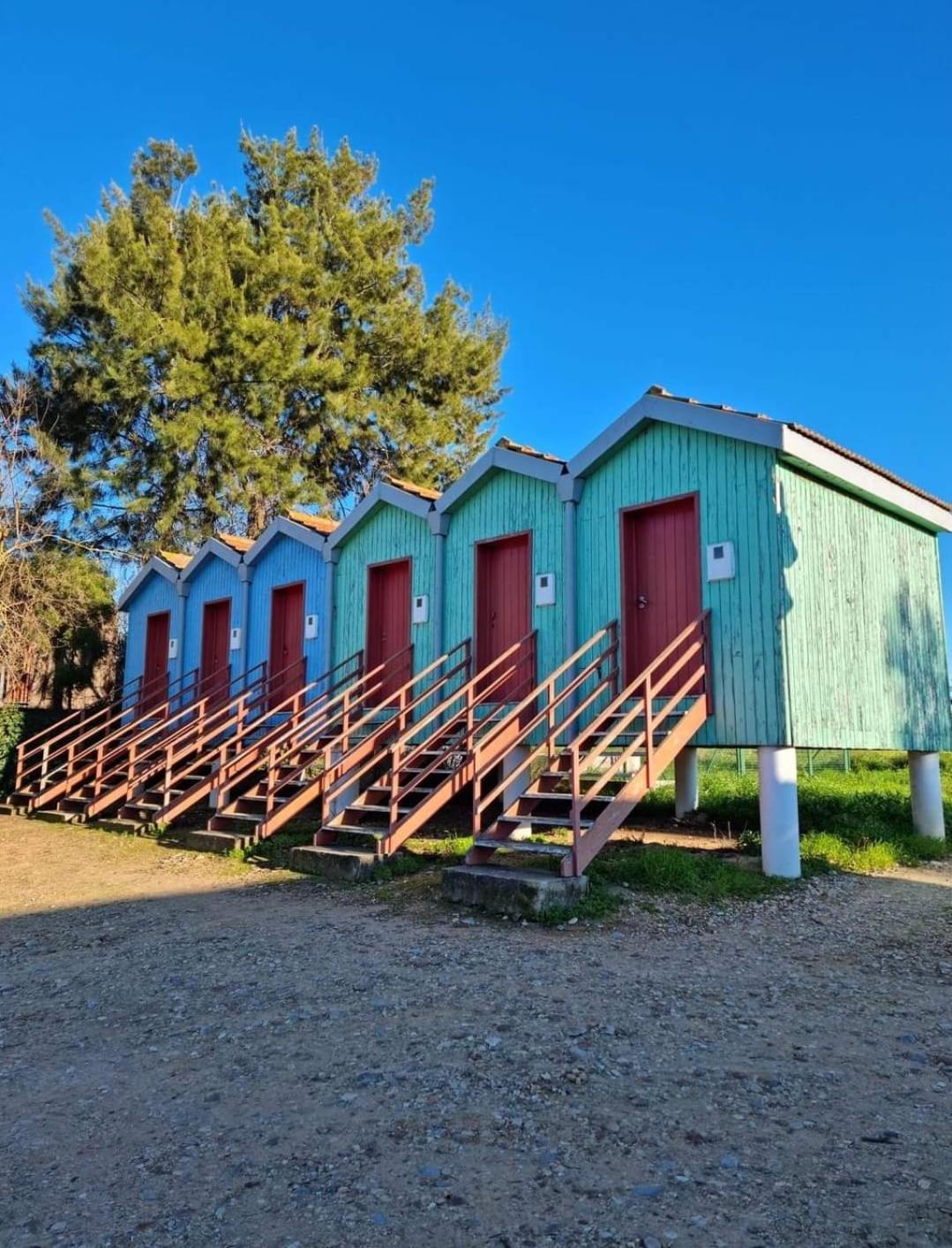 Quinta Marinhais Para Ferias No Ribatejo Exterior foto